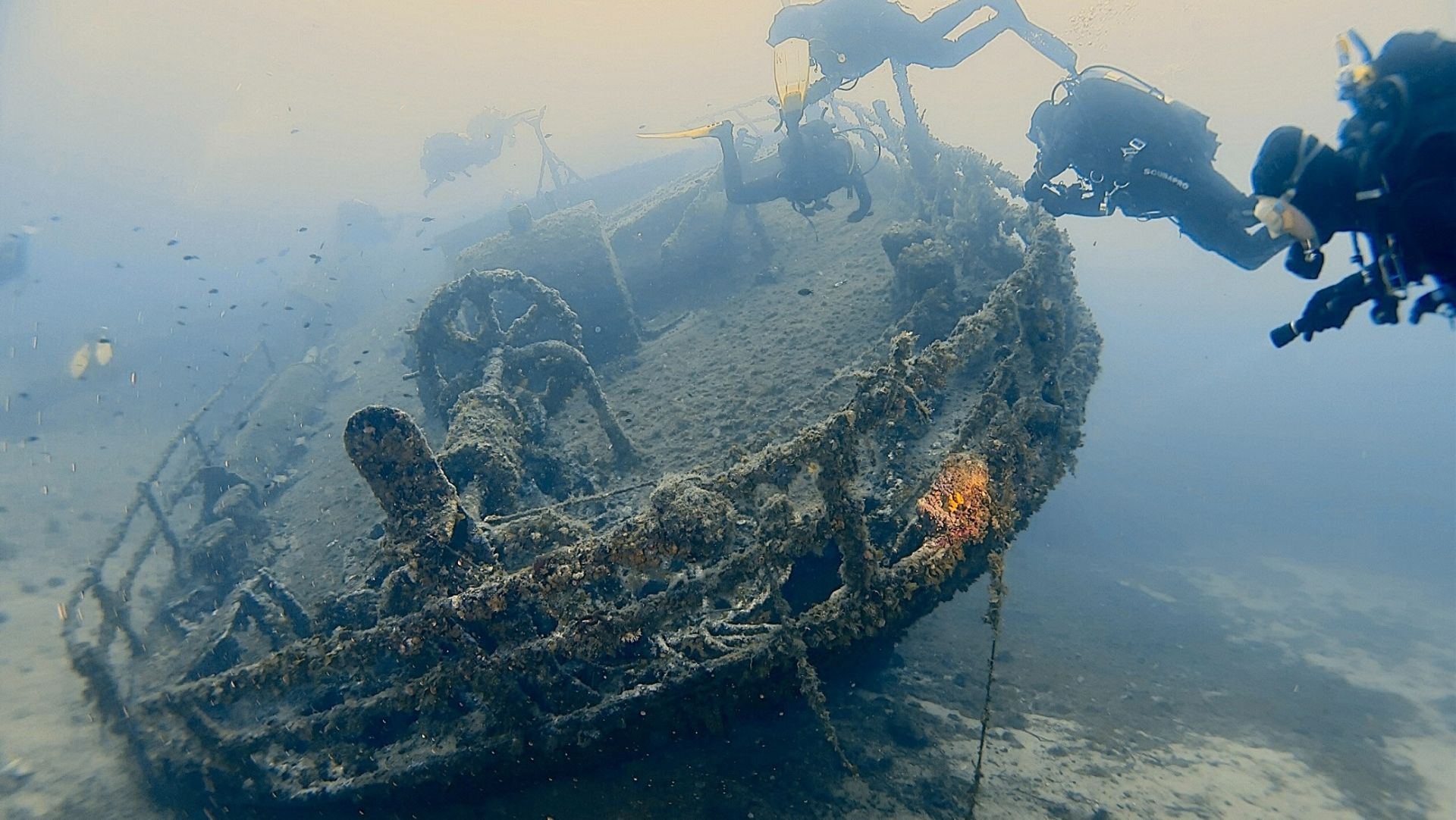 11ae4d06 bb2f 44d8 bbddeeac214c