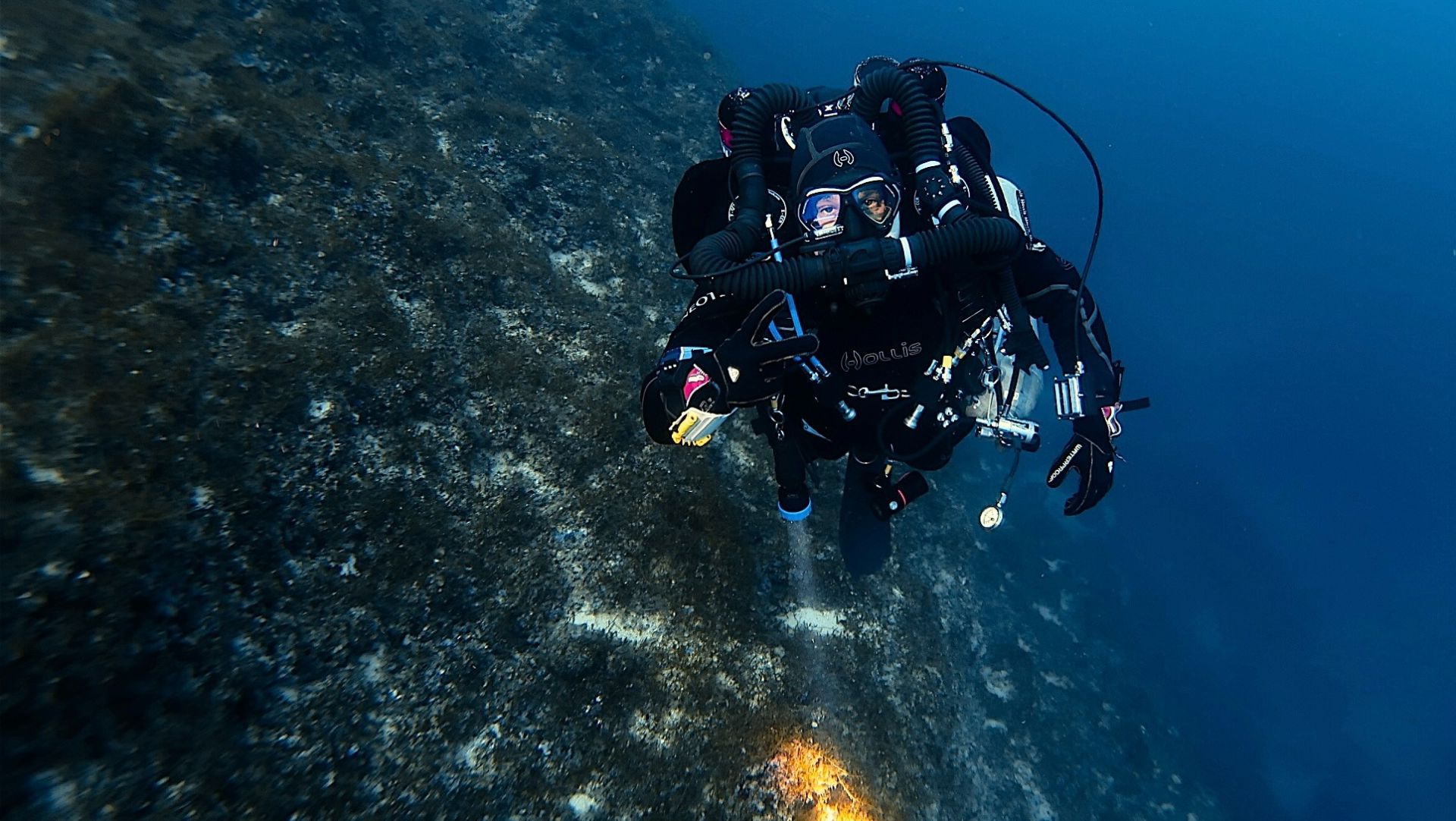 166db1c773c 44b8 afa4f01ec782476