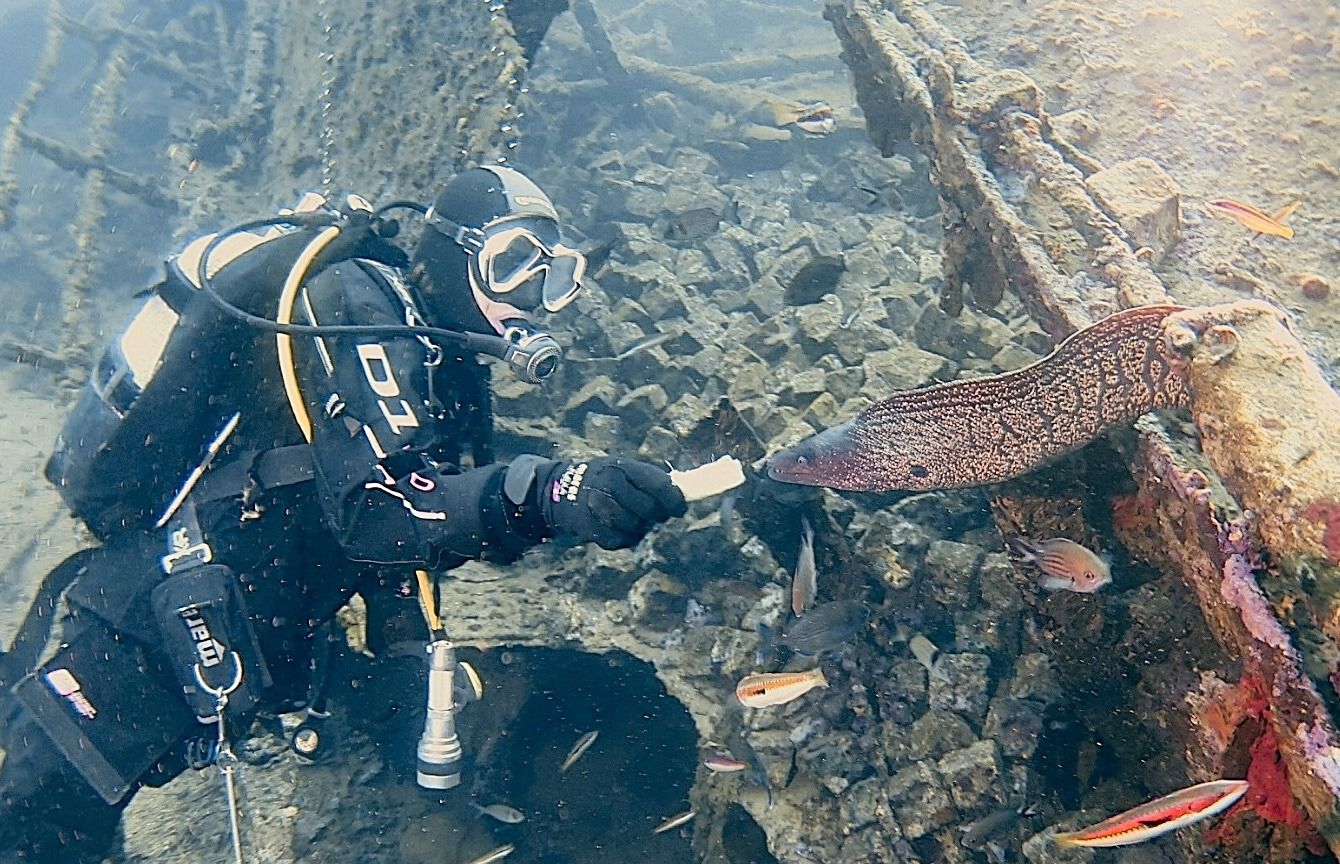 21f1c04d 2193 437dbcc b31f037203c8