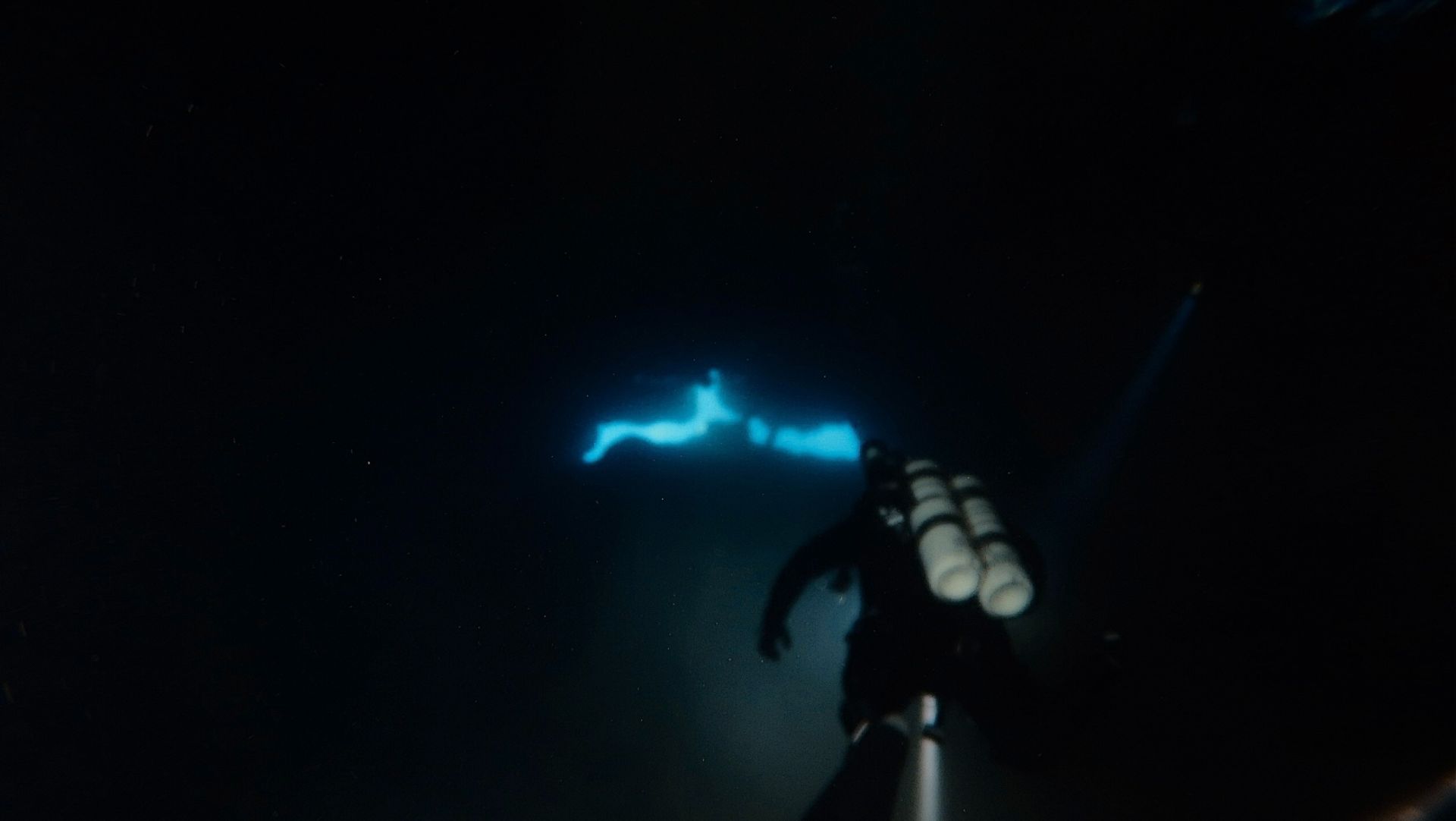 4a8837dc 2b5ed3 bf53 e916bf8fcfb7