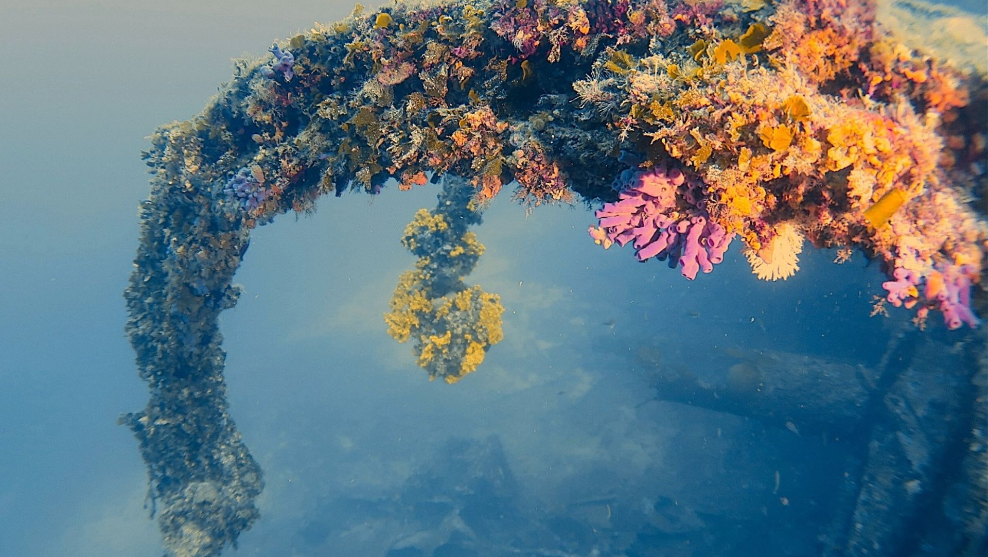 5aabb253 2709b12 afe9 d6c94fbff281