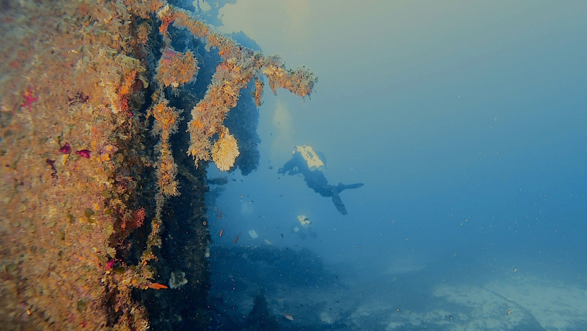 64c4ef9e f8c2 4bc2 83b9f8397aeb411