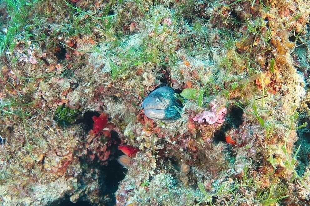 6dc36577 45a4 4fa6e7 a68d2eda8389