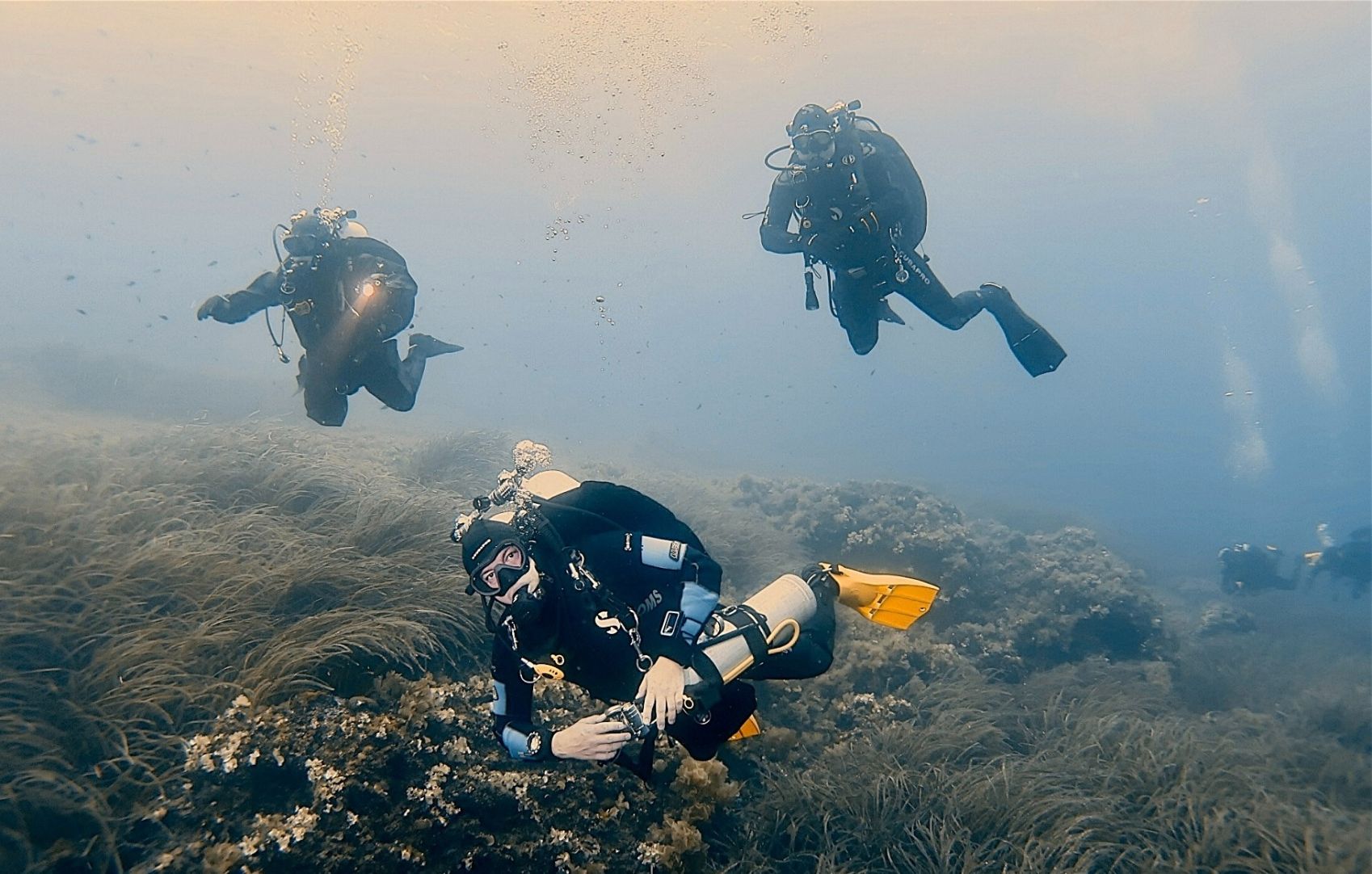 73f0f08e 9d81 4e84 a959c7048f232