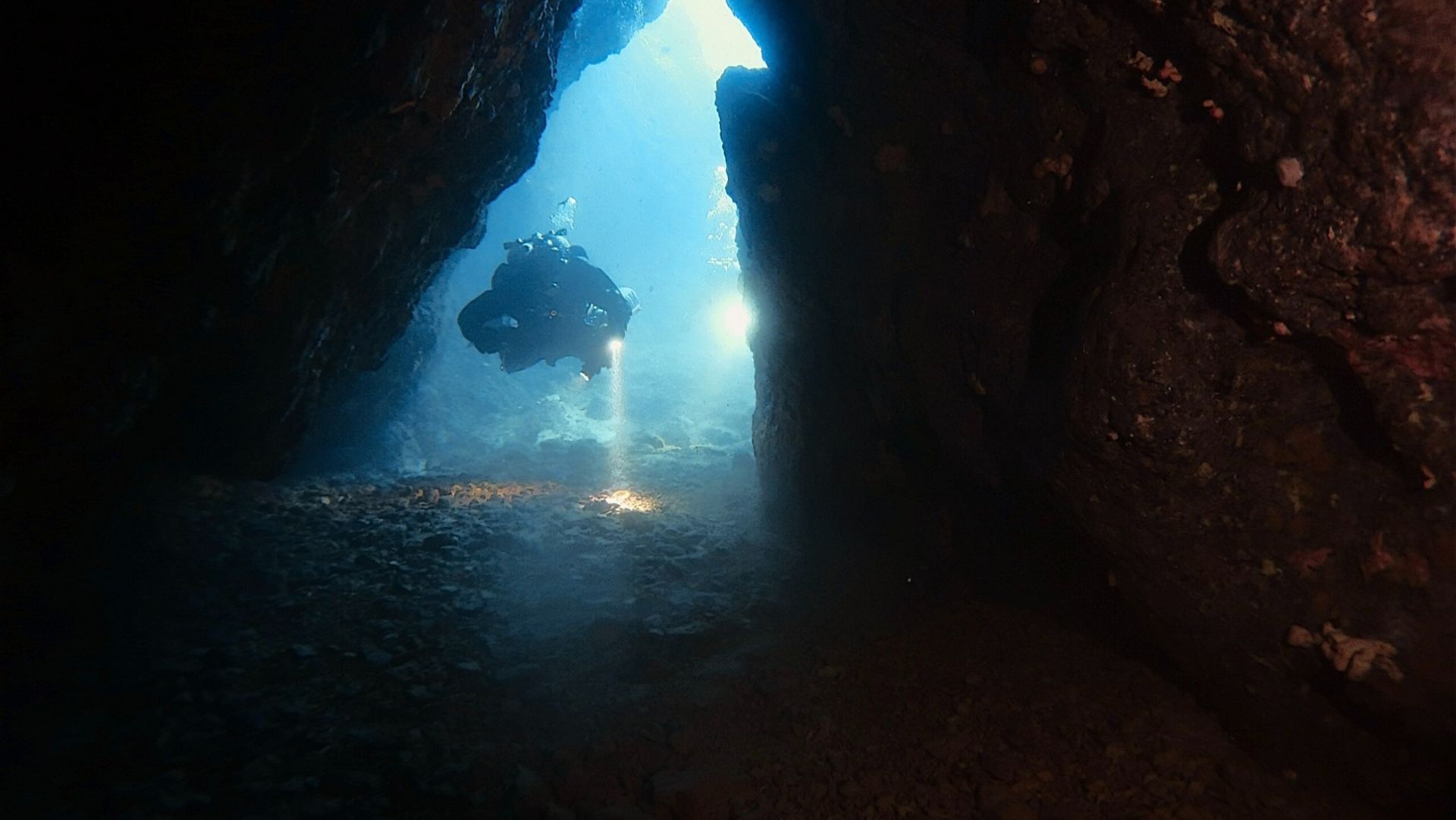 c38f008c 779a 45bc 89b7bfe820c6fba