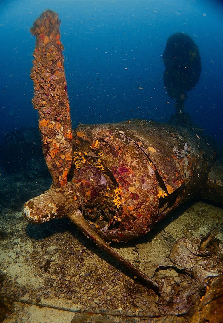 ec5f4c20 dc1e 4f1f 9fe9fc0946745