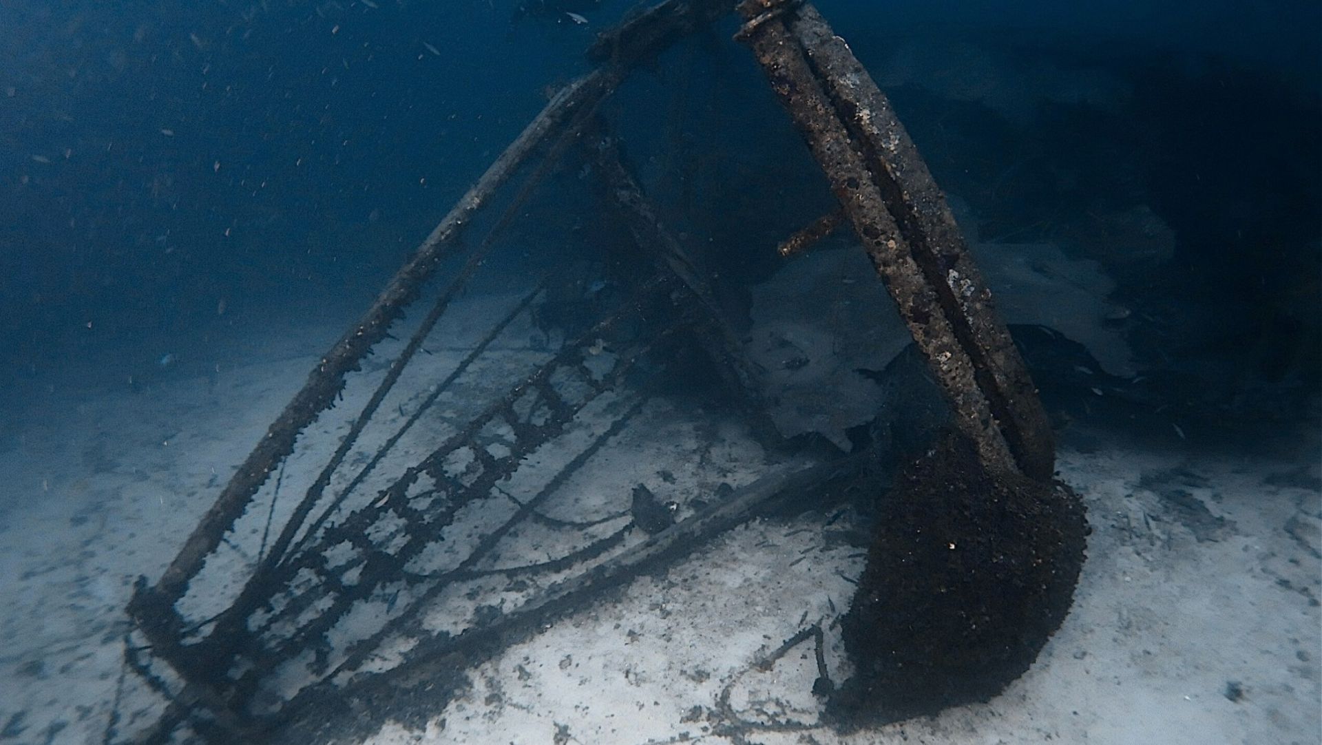 feea8744 7feecd b153 bea426dacb21